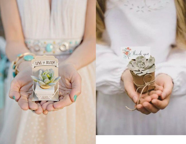 idees cadeau invites plantes à offrir